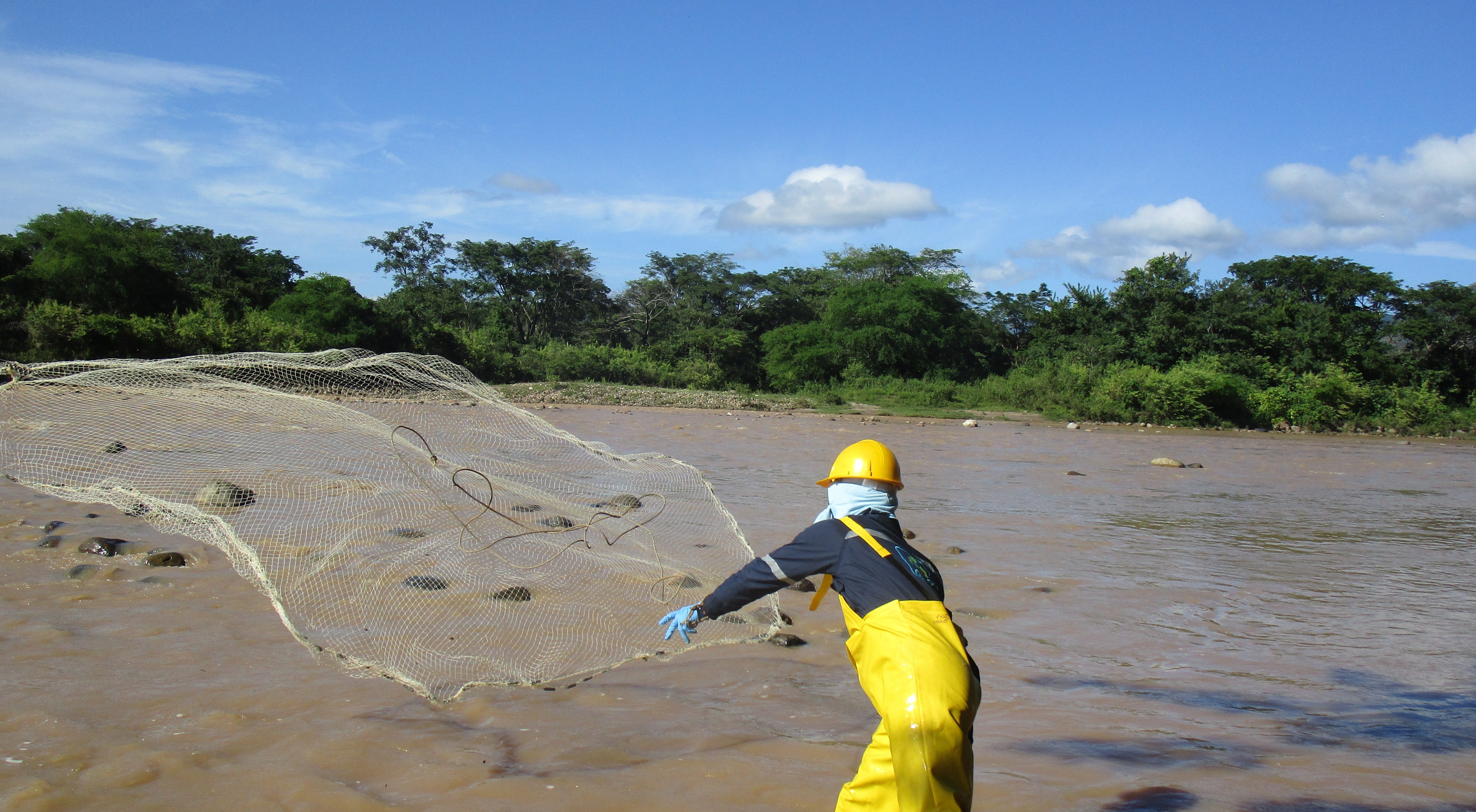 Señor lanzando una red de pesca